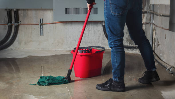 Best Residential water damage restoration  in Centerville, IA