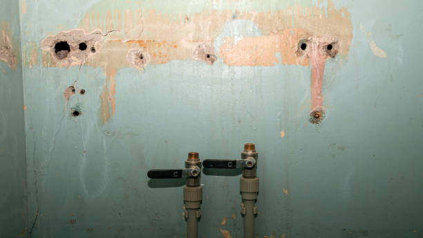 Best Fire Damage Restoration  in Centerville, IA