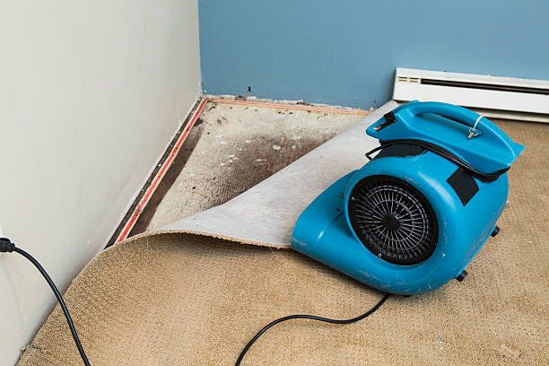  Centerville, IA Water damage restoration Pros